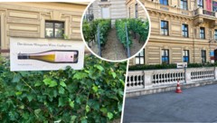Der Weingarten am Schwarzenbergplatz zieht auch zahlreiche Touristen an. 