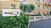 Der Weingarten am Schwarzenbergplatz zieht auch zahlreiche Touristen an. 