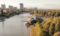 Das Wasser der Alten Donau steuert schon im Juni auf bedenkliche Werte zu.