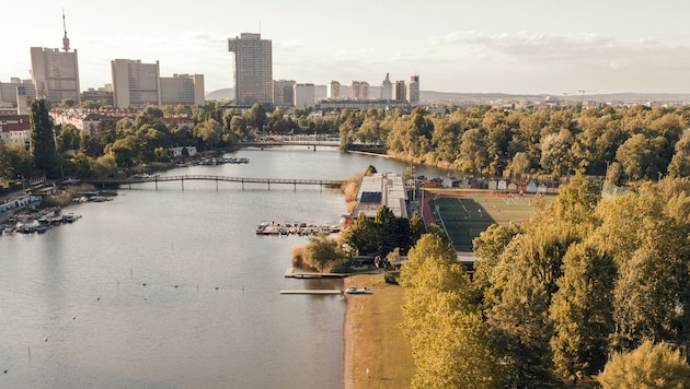 Das Wasser der Alten Donau steuert schon im Juni auf bedenkliche Werte zu.