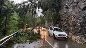 Im Alpbachtal stürzten Bäume auf die Landesstraße.
