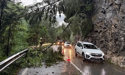 Im Alpbachtal stürzten Bäume auf die Landesstraße.