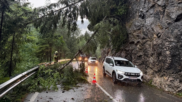 Im Alpbachtal stürzten Bäume auf die Landesstraße.