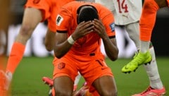 Ein emotionaler Treffer: Cody Gakpo erzielte das 1:0 für die Niederlande.