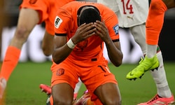 Ein emotionaler Treffer: Cody Gakpo erzielte das 1:0 für die Niederlande.