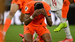 Ein emotionaler Treffer: Cody Gakpo erzielte das 1:0 für die Niederlande.
