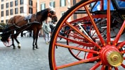 Die „Botticelle“ könnten nun endgültig aus dem Stadtbild Roms verschwinden.