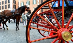Die „Botticelle“ könnten nun endgültig aus dem Stadtbild Roms verschwinden.