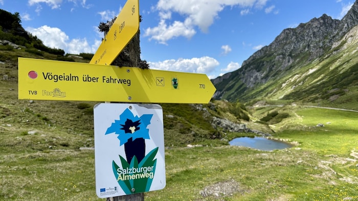 Wahrzeichen und Wegweiser ist der Blaue Enzian.