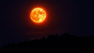 Der sogenannte Erdbeermond am Montagabend