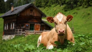 Für kleine Almhütten gibt es endlich gute Nachrichten.