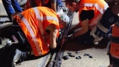 Die Hitzewelle legte die Leipziger Straßenbahnen lahm – die Verkehrsbetriebe bitten nun die ...