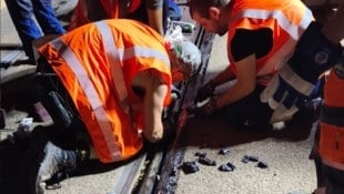 Die Hitzewelle legte die Leipziger Straßenbahnen lahm – die Verkehrsbetriebe bitten nun die ...