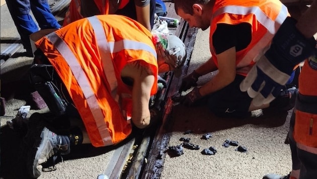 Die Hitzewelle legte die Leipziger Straßenbahnen lahm – die Verkehrsbetriebe bitten nun die ...