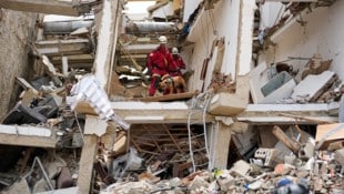 So schwere Beben wie die beiden Erdbeben der Stärke 7,2 und 7,5 in Venezuela am 24. Juni sind in ...