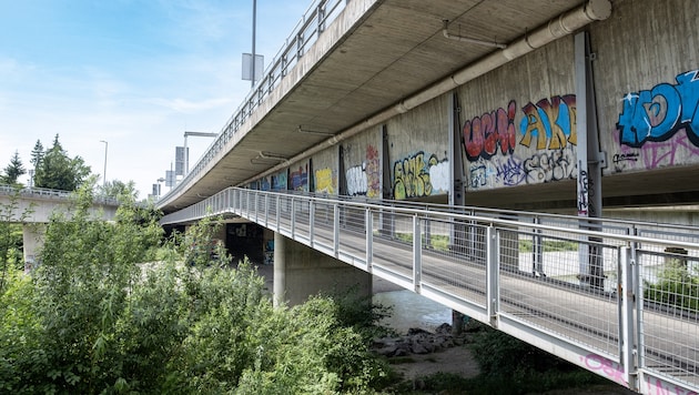 Die Radwegbrücke beim Pfänderportal.