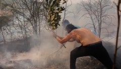 Griechenland hat mit Waldbränden zu kämpfen.