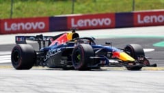 Max Verstappen.