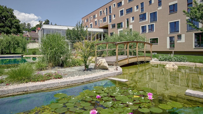 Auch Teiche gehören zur Gartenanlage.