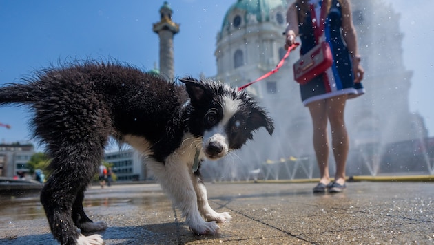 Die Kaltfront bringt eine kurze Verschnaufpause: Letzte Schauer ziehen ab, danach setzt sich ...