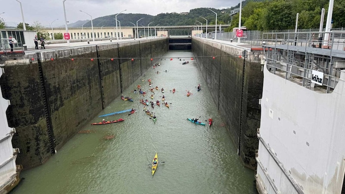 Die Gruppe war im Bereich der Schleuse bei Ybbs an der Donau in Not geraten.