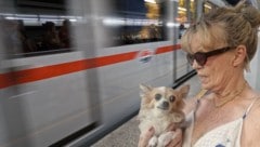 Brigitte Haas muss Epileptikerin „Yosi“ mit der U-Bahn zum Tierarzt bringen. Genau dort geriet ...