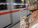 Brigitte Haas muss Epileptikerin „Yosi“ mit der U-Bahn zum Tierarzt bringen. Genau dort geriet ...