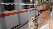 Brigitte Haas muss Epileptikerin „Yosi“ mit der U-Bahn zum Tierarzt bringen. Genau dort geriet ...