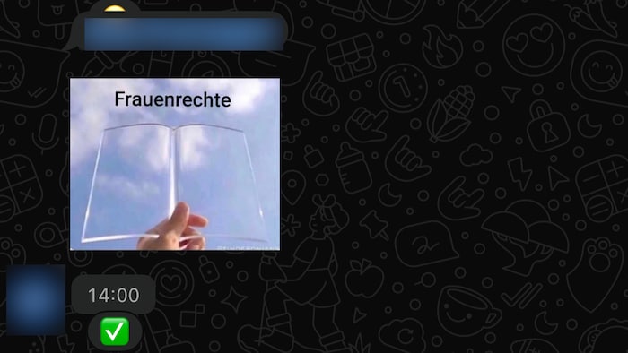 Frauen haben scheinbar in Gruppen der Schülerunion keinen großen Stellenwert.