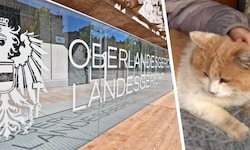 Kater „Schmotzer“ wurde auf grausame Art und Weise getötet. Gegen die vier Verdächtigen wurde ...