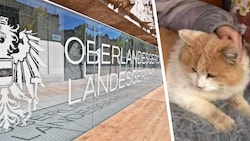 Kater „Schmotzer“ wurde auf grausame Art und Weise getötet. Gegen die vier Verdächtigen wurde ...