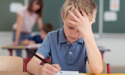 Für viele Kinder wächst der Druck schon in der Volksschule, später ins Gymnasium aufsteigen zu ...