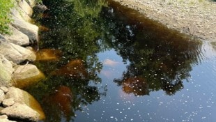 Auf mehreren hundert Metern war das Wasser verfärbt.