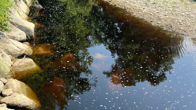 Auf mehreren hundert Metern war das Wasser verfärbt.