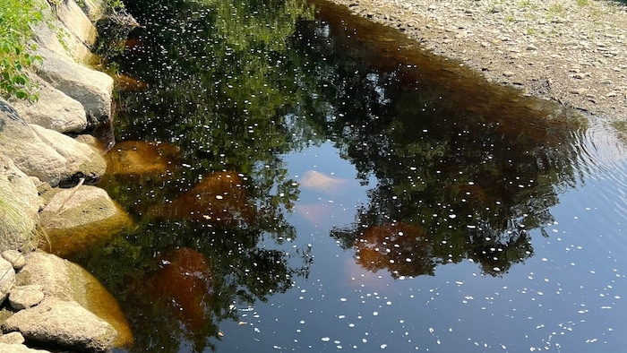 The water was discolored over several hundred meters.
