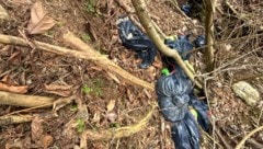 Schon im März und nun wieder: Müllsäcke mit Speiseresten wurden illegal in ein Waldstück ...