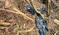 Schon im März und nun wieder: Müllsäcke mit Speiseresten wurden illegal in ein Waldstück ...