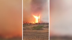 Videos zeigen das Ausmaß des Feuers.