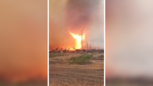 Videos zeigen das Ausmaß des Feuers.