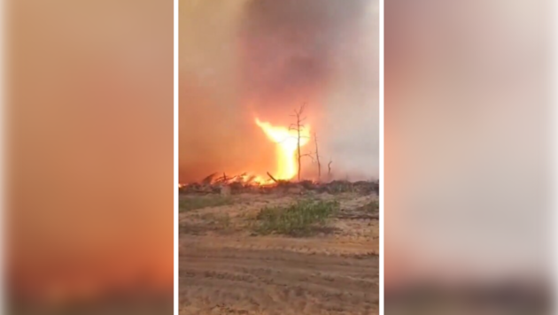Videos zeigen das Ausmaß des Feuers.