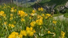 Wunderschöne Berge und Seen? Wieso nicht Urlaub im Heimatland?