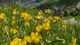 Wunderschöne Berge und Seen? Wieso nicht Urlaub im Heimatland?