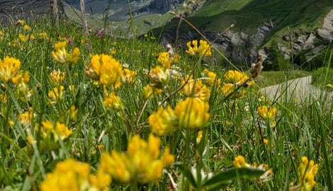 Wunderschöne Berge und Seen? Wieso nicht Urlaub im Heimatland?