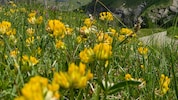 Wunderschöne Berge und Seen? Wieso nicht Urlaub im Heimatland?
