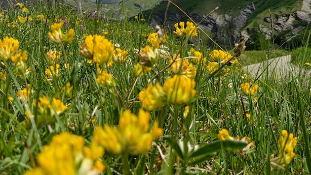 Wunderschöne Berge und Seen? Wieso nicht Urlaub im Heimatland?