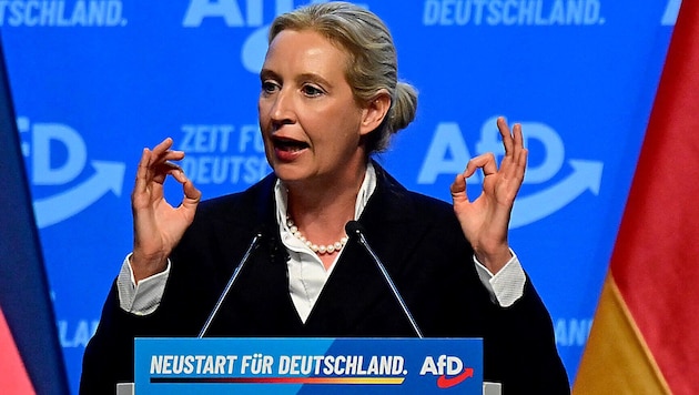 AfD-Chefin Alice Weidel macht sich für den Ausstieg aus dem Schengen-Raum und Euro stark.