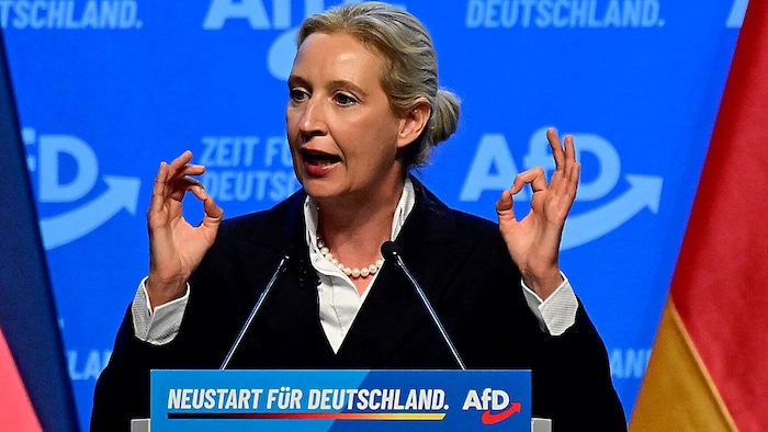Alice Weidel gewann an Zustimmung in den Reihen der AfD und kam auf 81 Prozent.