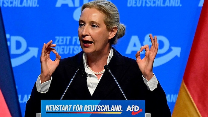 Alice Weidel gewann an Zustimmung in den Reihen der AfD und kam auf 81 Prozent.