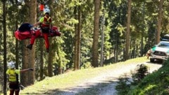 Einen 64-jährigen Mountainbiker mussten Retter am Dobratsch bergen (Foto). Auf der Hochalmspitze ...