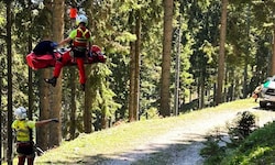 Einen 64-jährigen Mountainbiker mussten Retter am Dobratsch bergen (Foto). Auf der Hochalmspitze ...